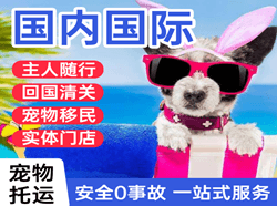 沈阳桃仙空运公司国际宠物托运 【国